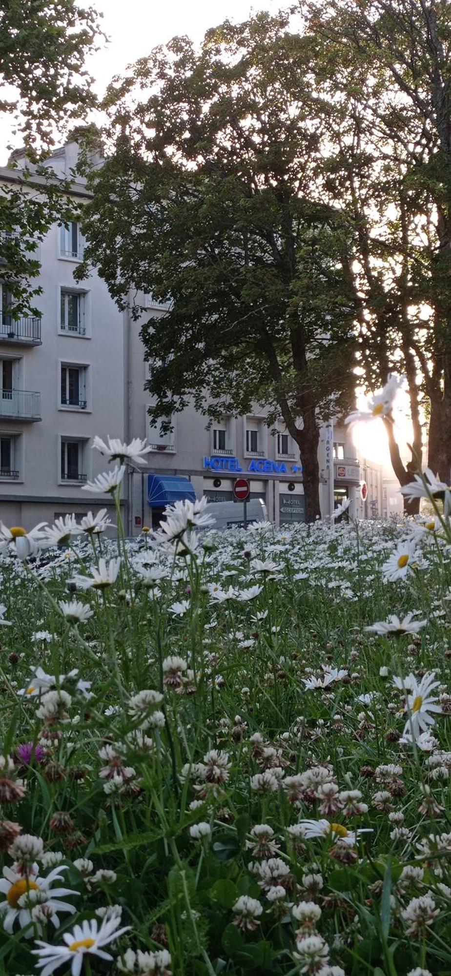Hotel Agena 브레스트 외부 사진